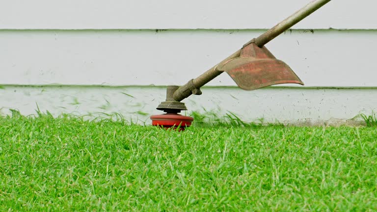 Best Lawn Pest Prevention  in USA